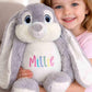 Personalised Easter Teddy | Hidey Boo Bunny | Embroidered