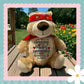 Red Hero Cubbyford Bear