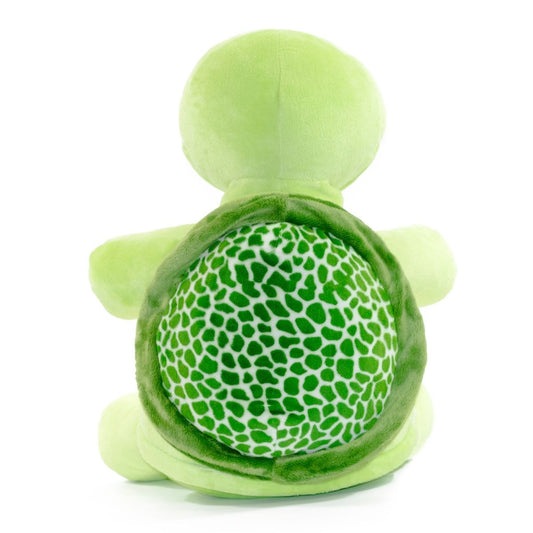 Mr Shigglesworth Turtle