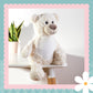 Cream Tummi Bear (Personalised)