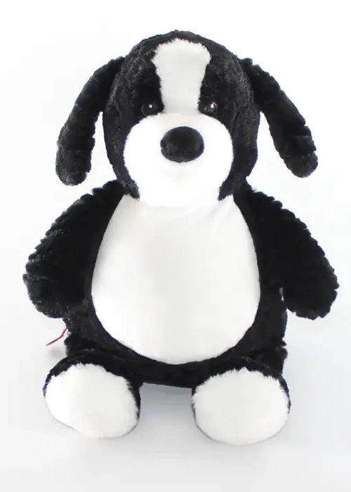 'Jelly Bean' Baby Border Collie