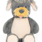 Shaggy Terrier Dog